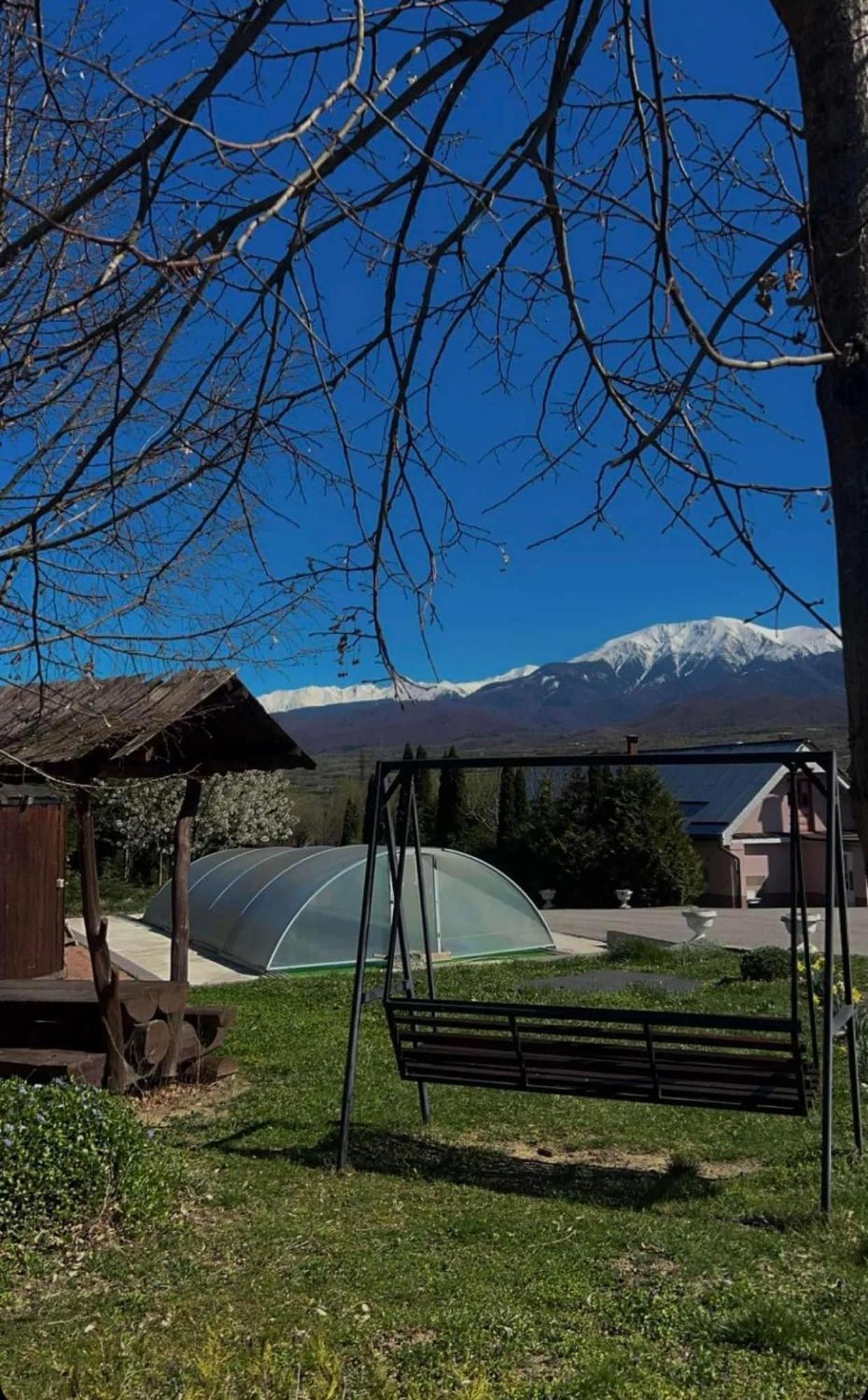 Pensiunea Osencuta Talmesch Exterior foto